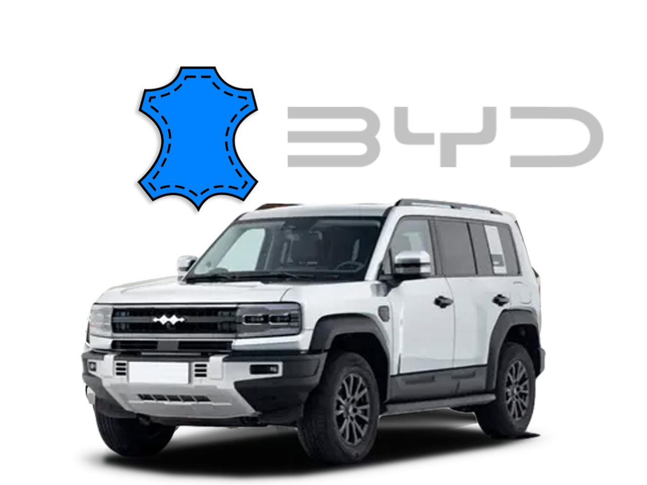https://leather-tech.net/M/wp-content/uploads/2026/01/byd-1280x960.jpg